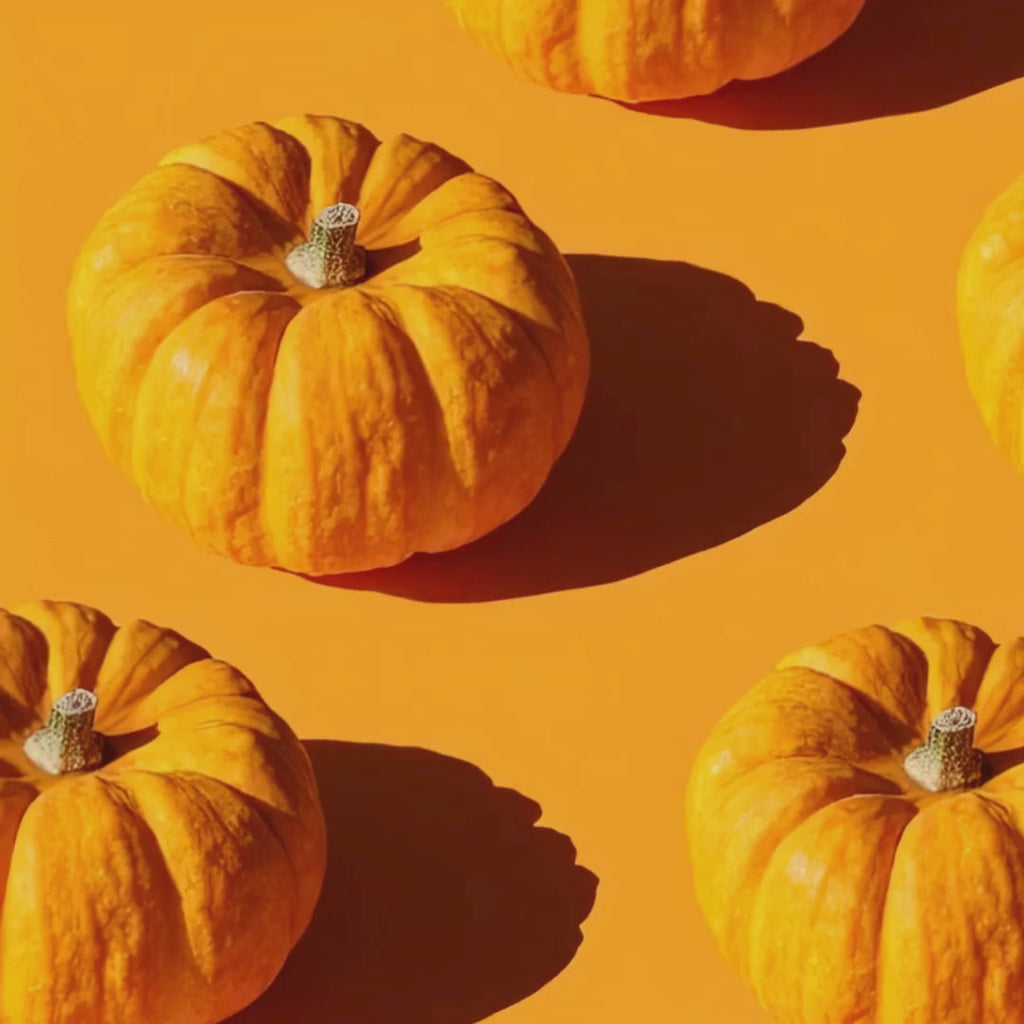 Organic Pumpkin Shea Sugar Body Scrub – Fall Scented Exfoliator